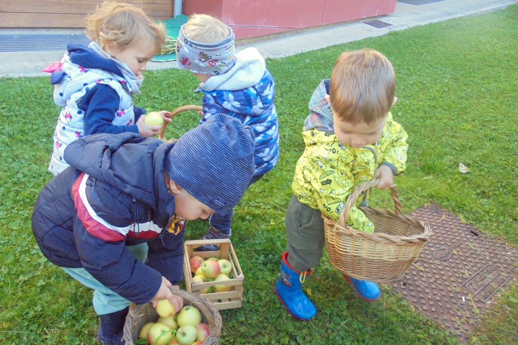 bimbi raccolgono mele