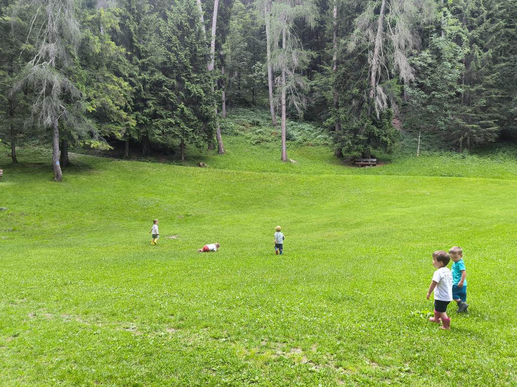 IMG 20260604 105324
