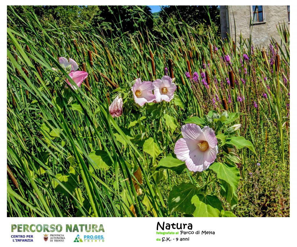 Natura 2