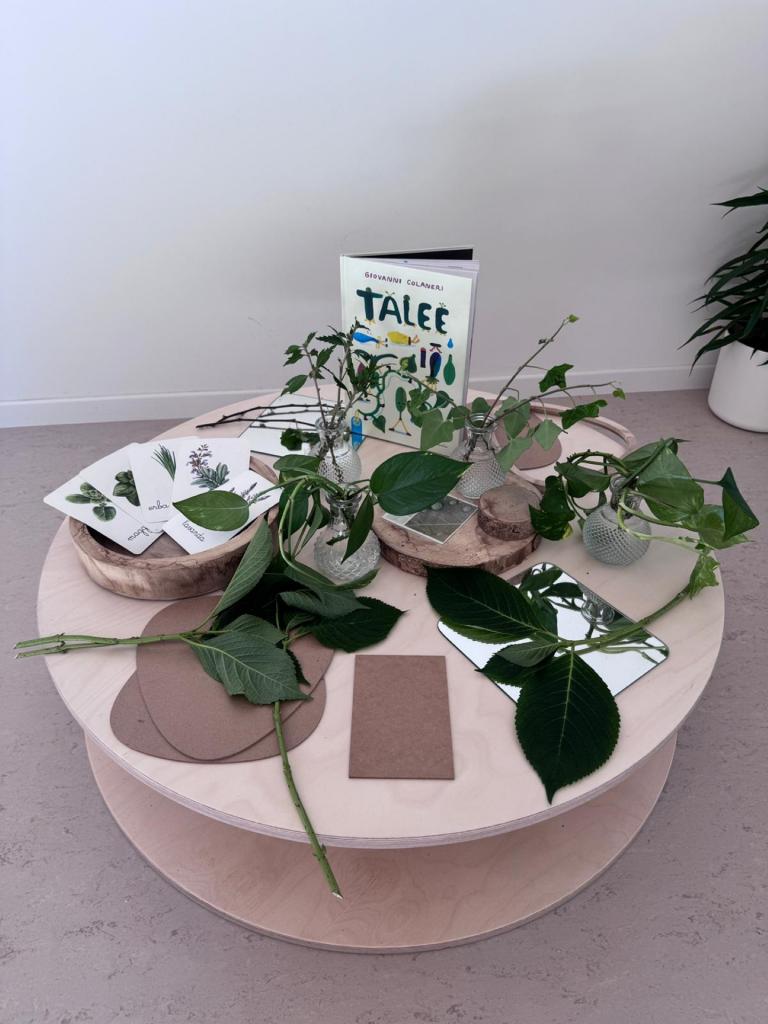 sala 4