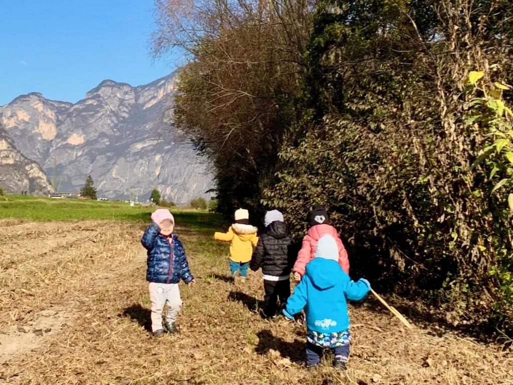 TERRE D ADIGE01