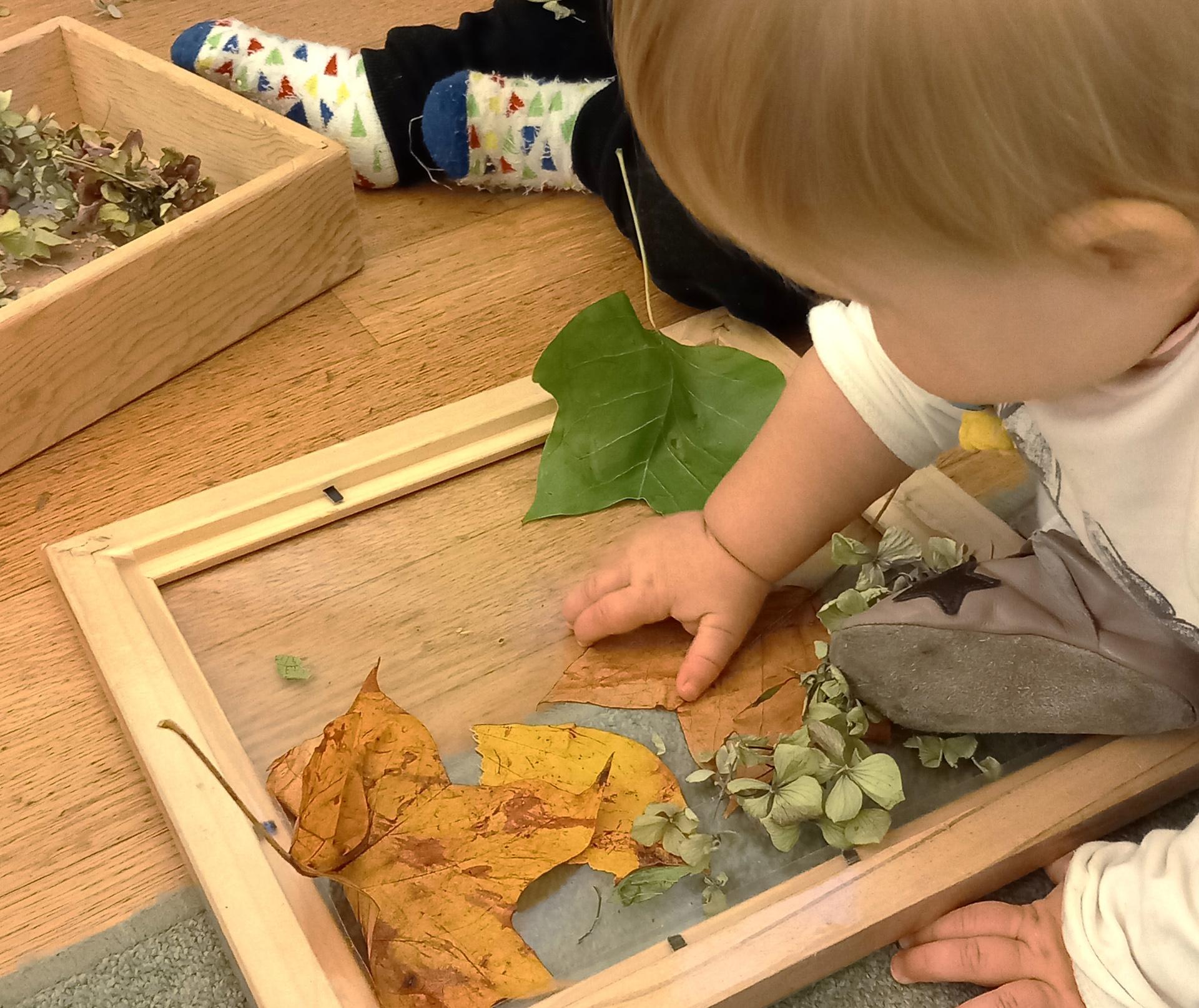 Serafini 3 Serafini 3